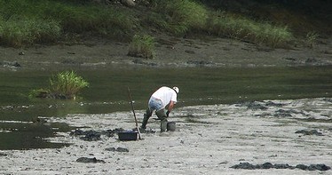 Clam Digger