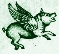 Flying Pig